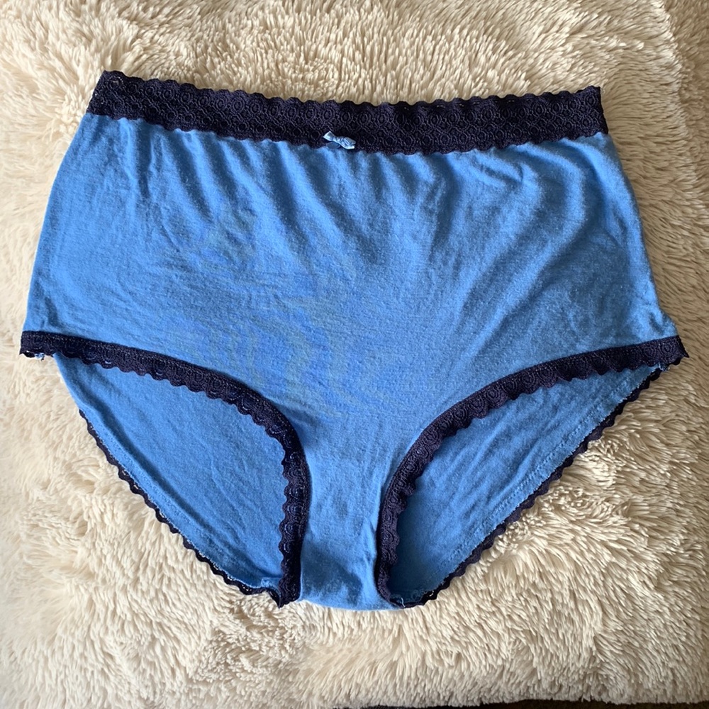 Aerie Hi Rise Panty